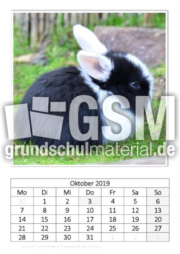 Oktober_Kaninchen_1.pdf